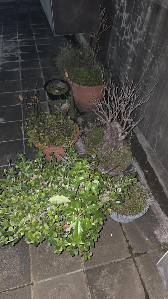 大型垃圾回收案件圖片