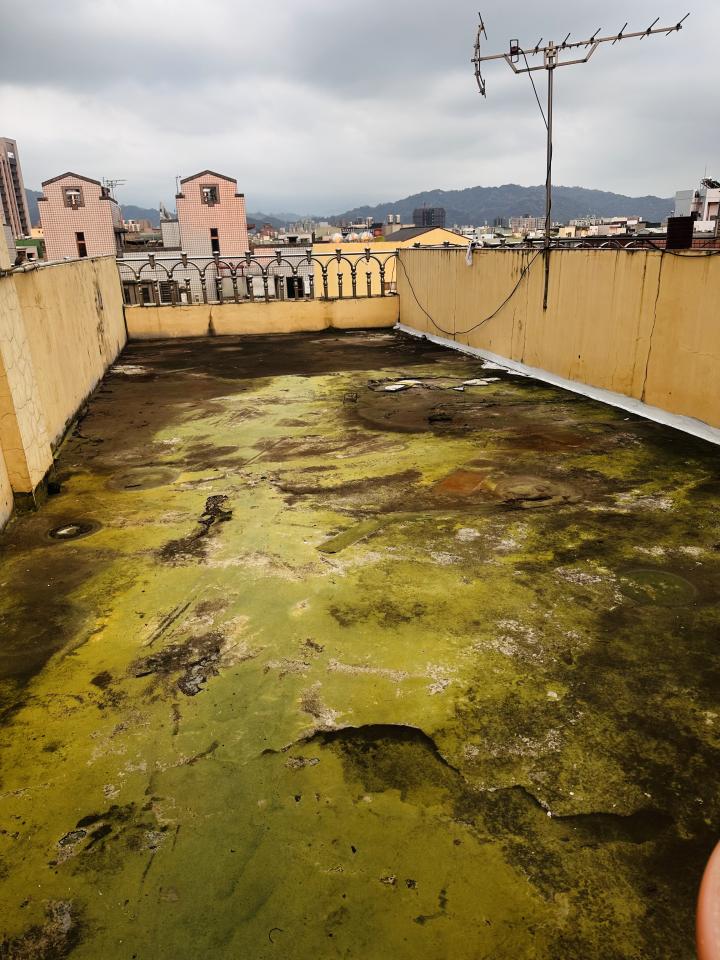 屋頂防水案件圖片