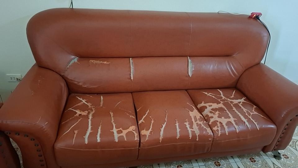 沙發修理案件圖片