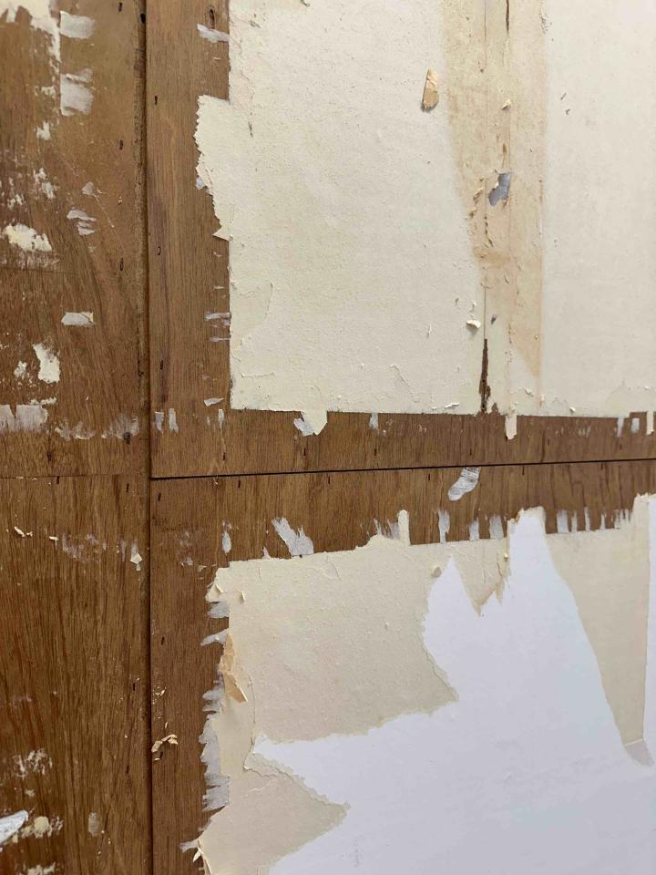 壁紙清除案件圖片