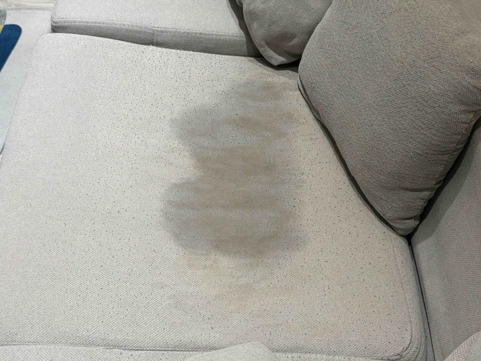 沙發清潔案件圖片