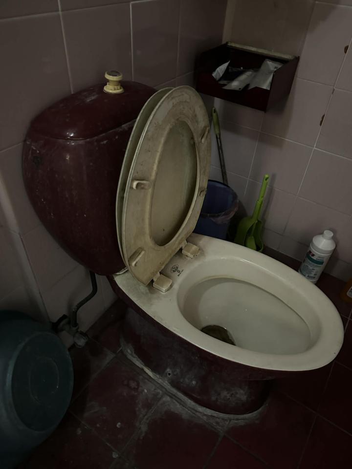 馬桶裝修案件圖片