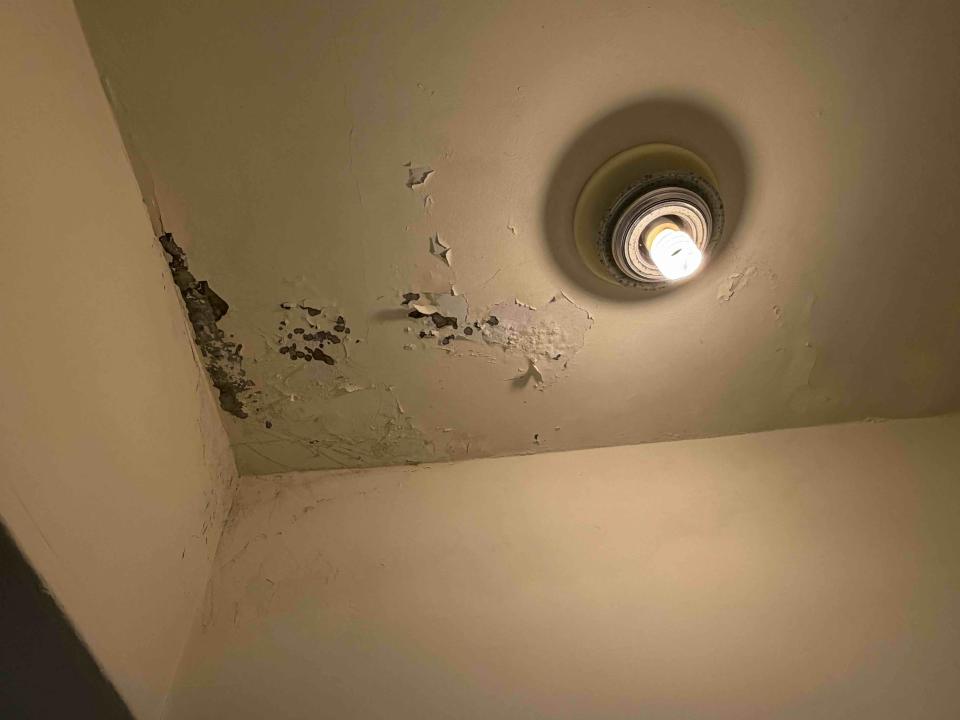 油漆工程案件圖片