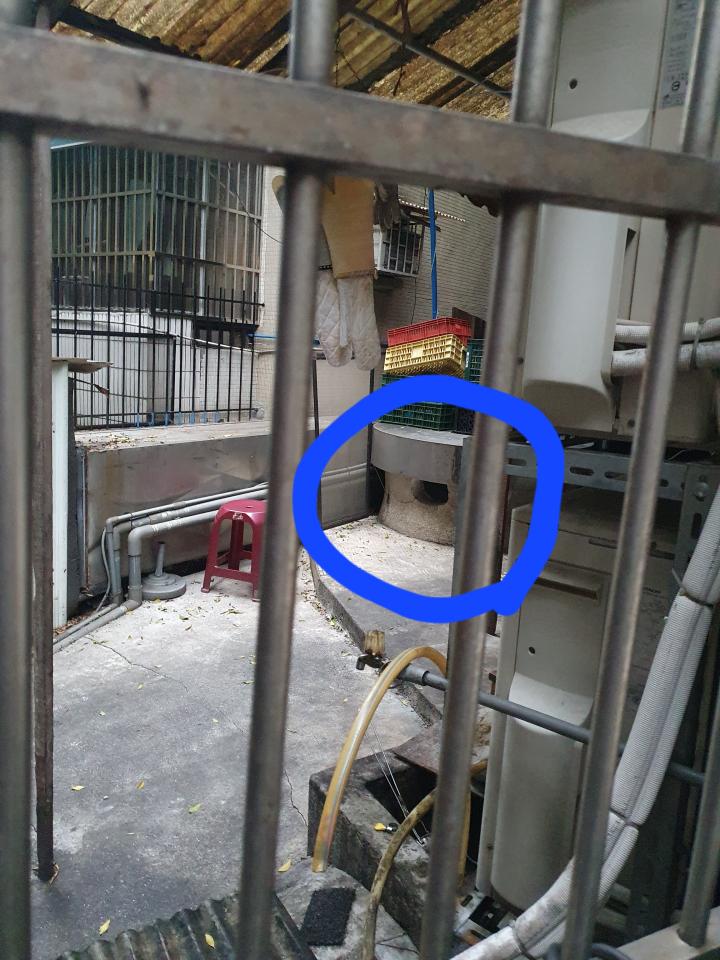 紗窗裝修案件圖片