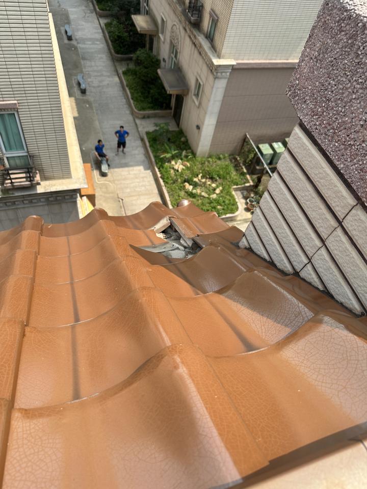 屋瓦翻修案件圖片