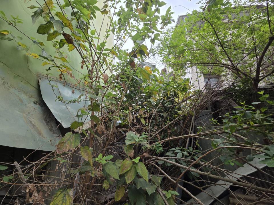 拆除工程案件圖片