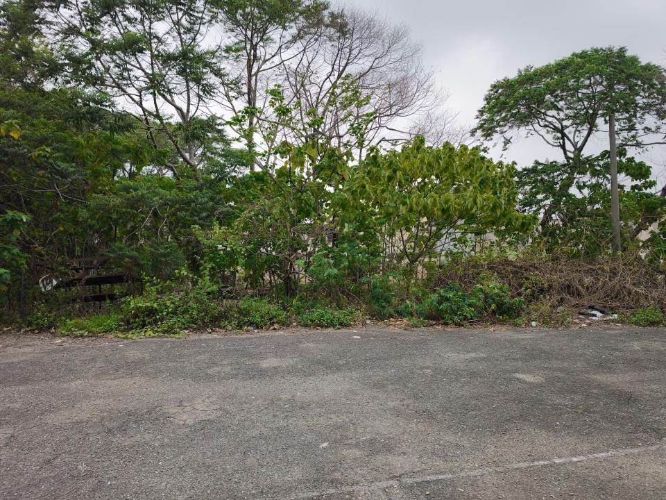 瀝青工程案件圖片