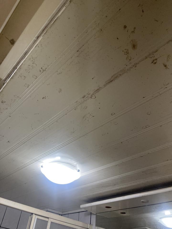 浴室除霉清潔案件圖片