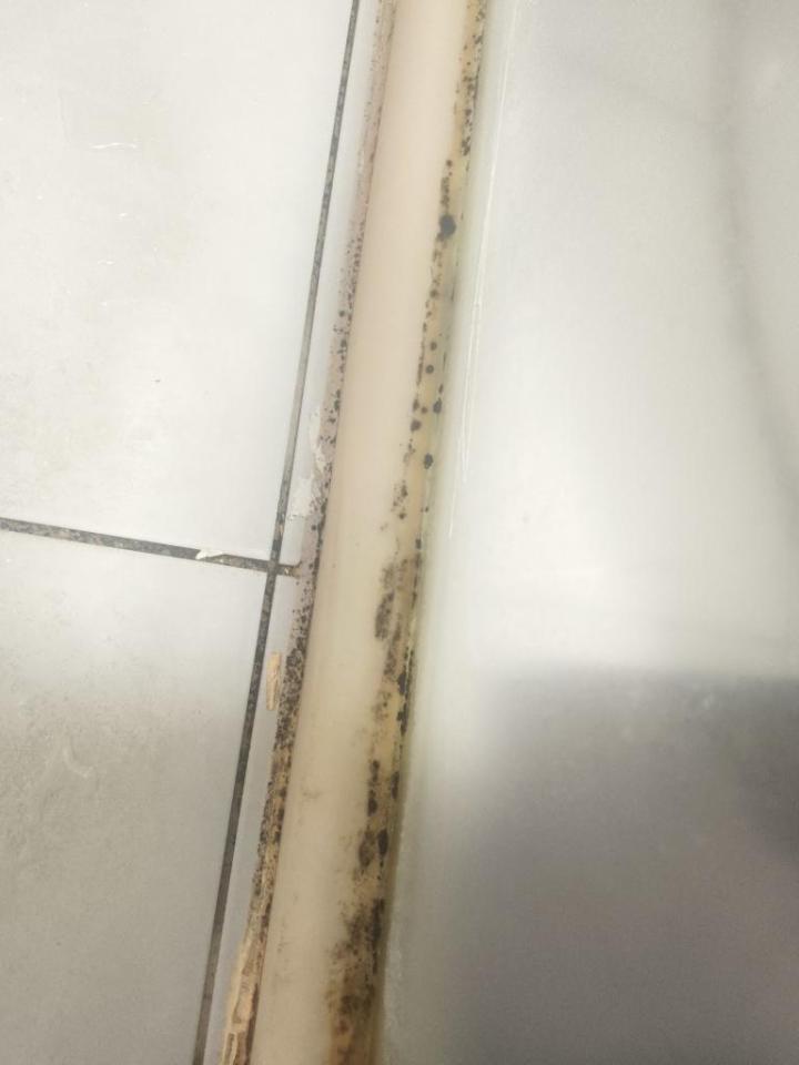浴室除霉清潔案件圖片