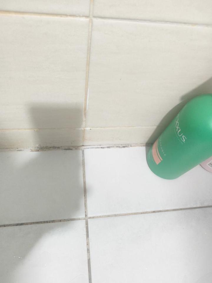 浴室除霉清潔案件圖片