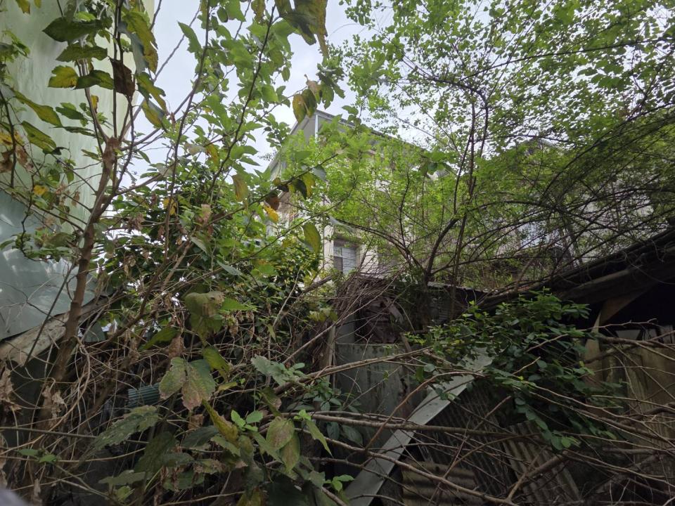 拆除工程案件圖片