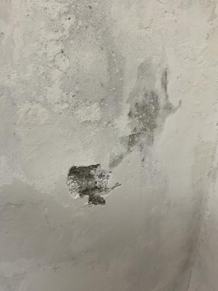 壁癌處理案件圖片