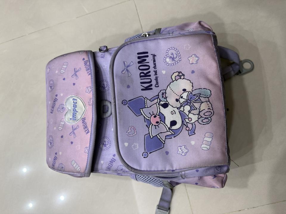 洗包包案件圖片