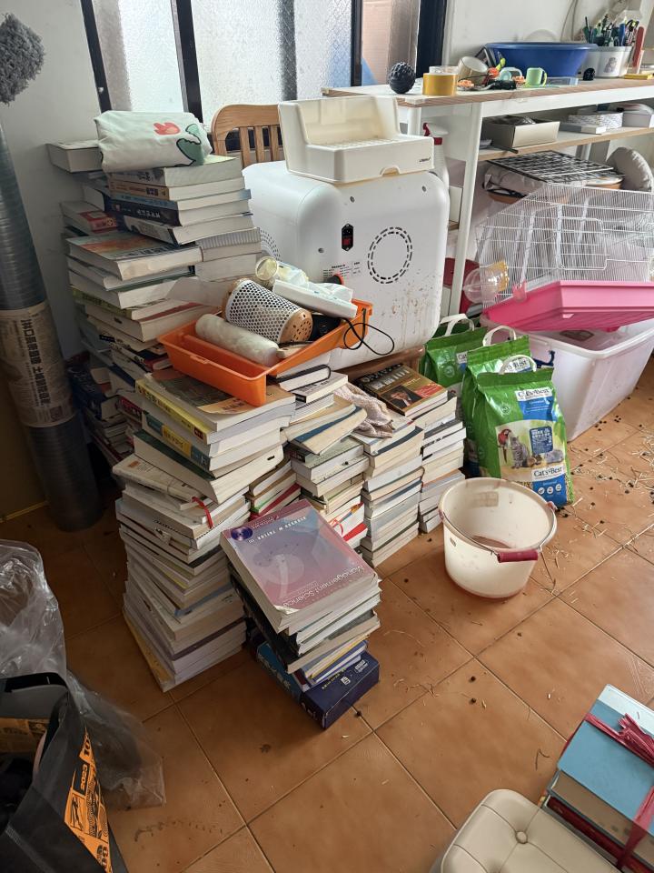 大型垃圾回收案件圖片