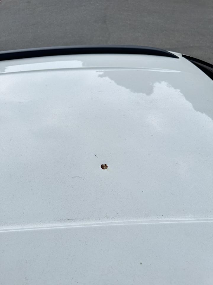 汽車板金烤漆案件圖片