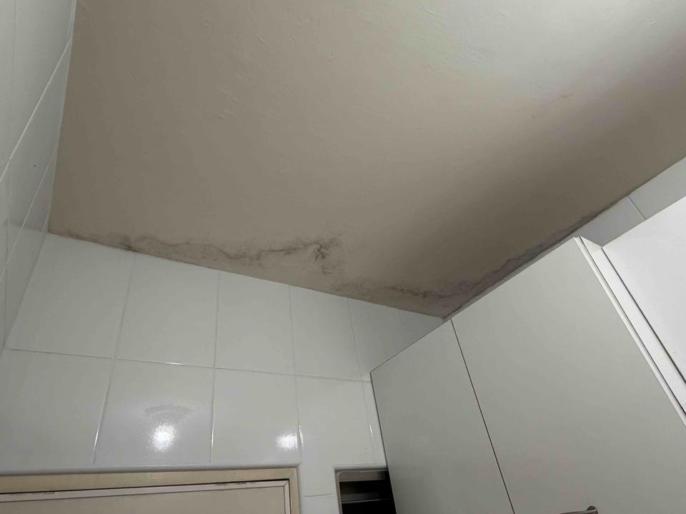 油漆工程案件圖片