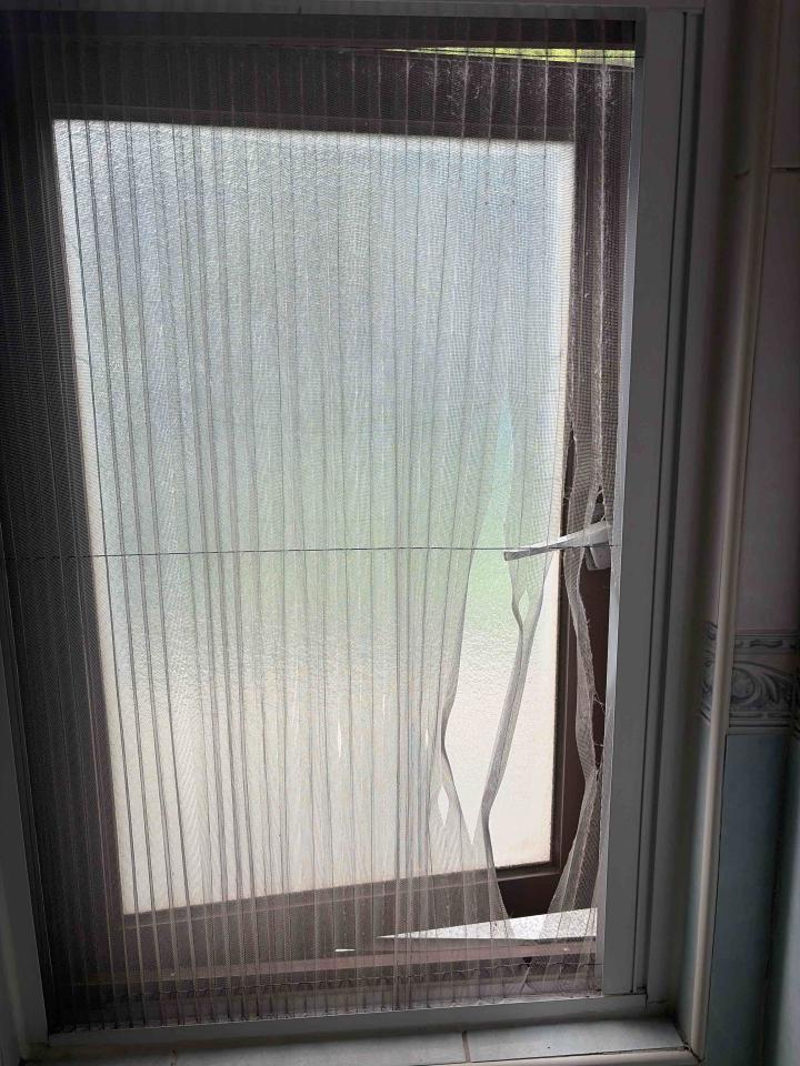 紗窗裝修案件圖片
