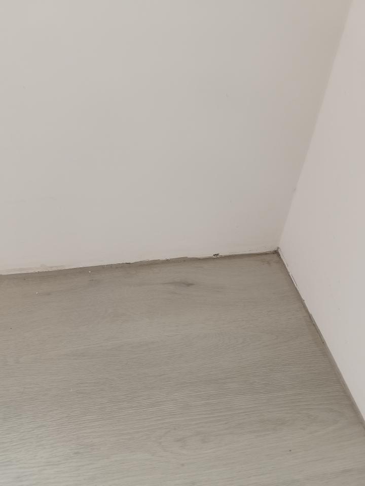 矽利康工程案件圖片