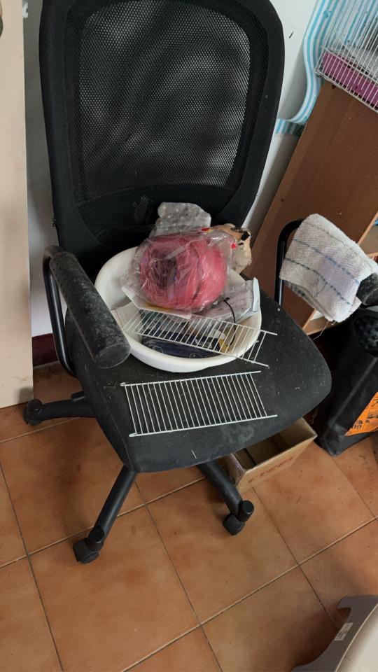 大型垃圾回收案件圖片