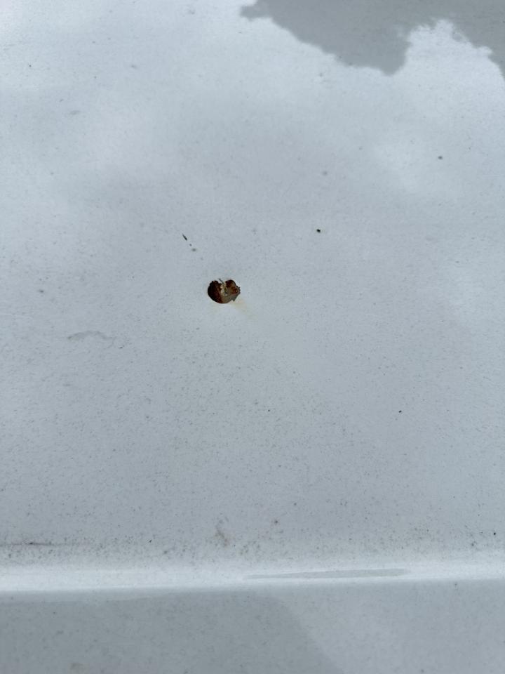 汽車板金烤漆案件圖片