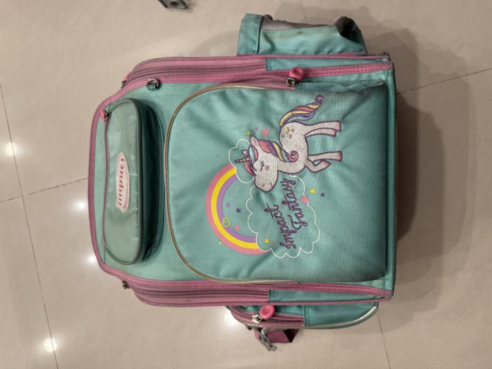 洗包包案件圖片