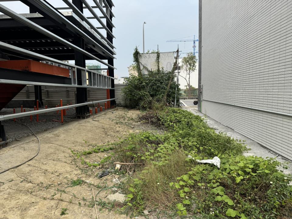 園藝維護案件圖片