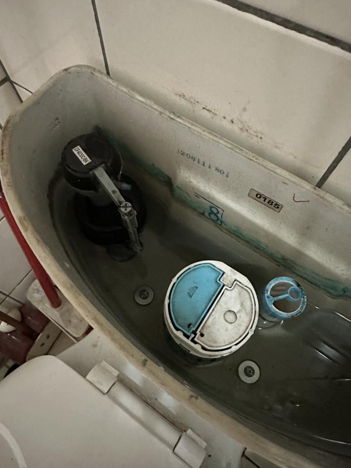 馬桶裝修案件圖片