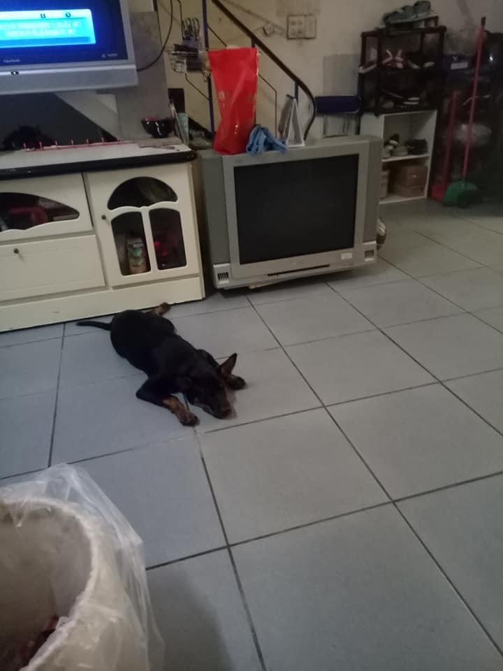 刑事糾紛處理案件圖片