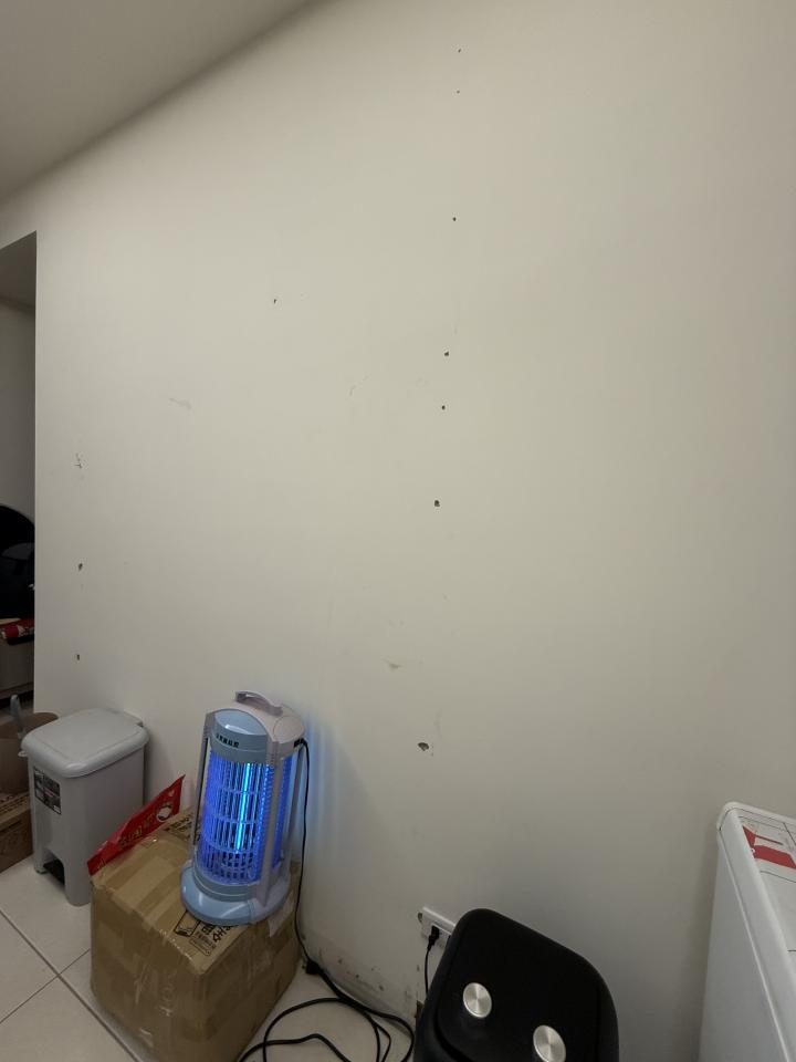 油漆工程案件圖片