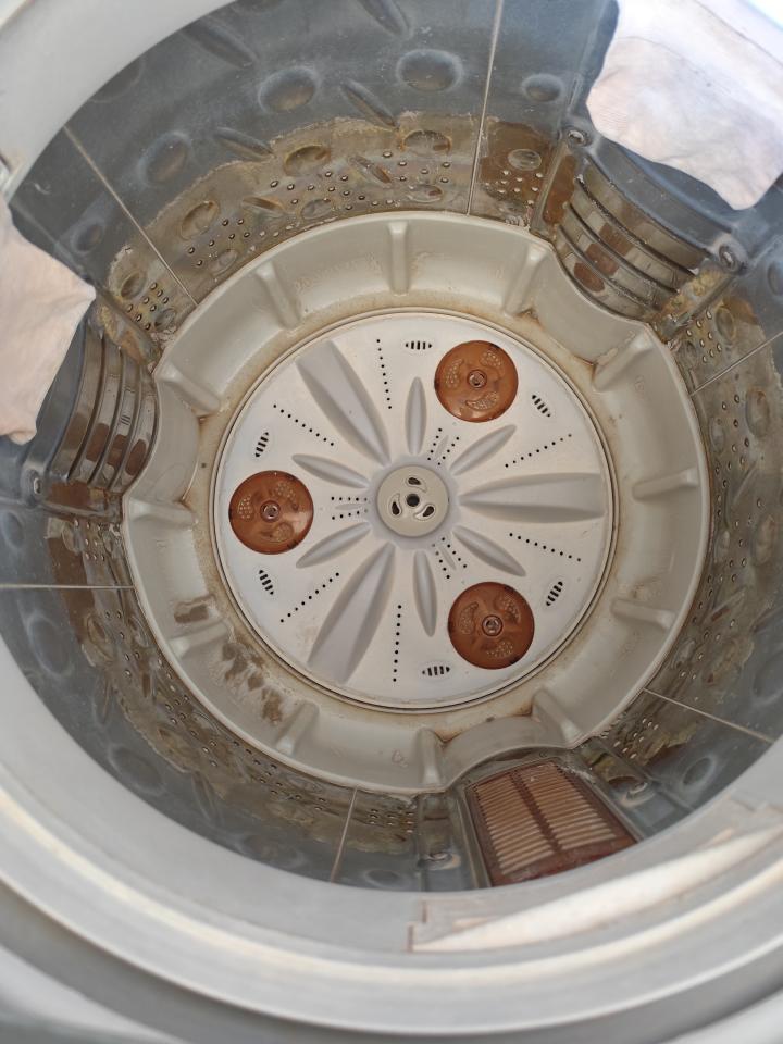 洗衣機清洗案件圖片