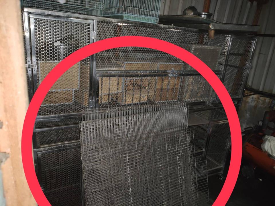 回頭車案件圖片