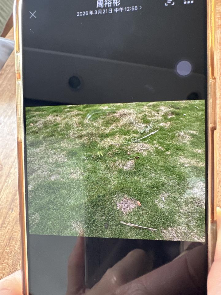 園藝維護案件圖片