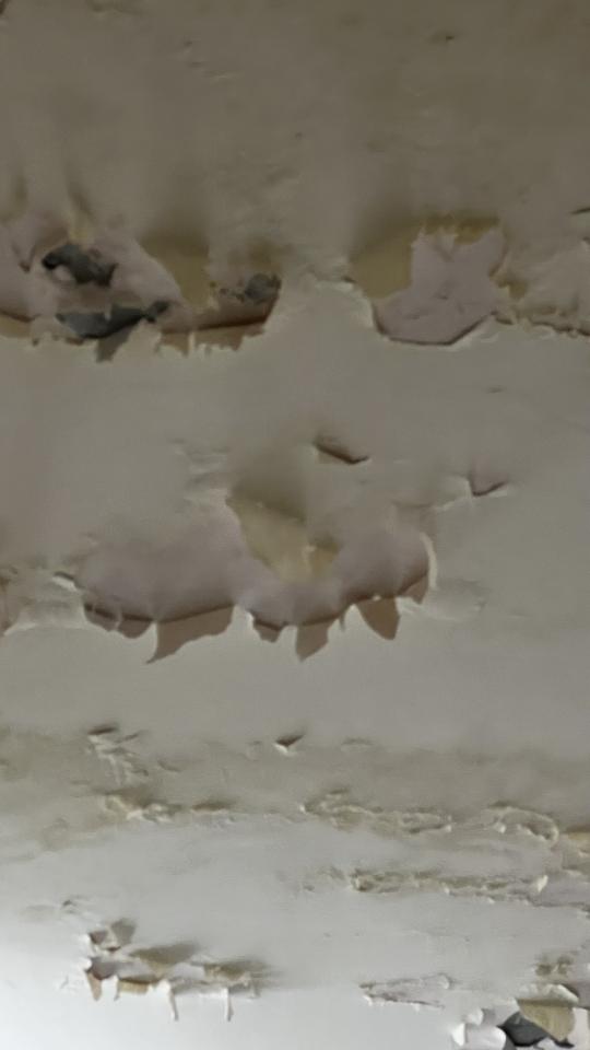 木工施工案件圖片