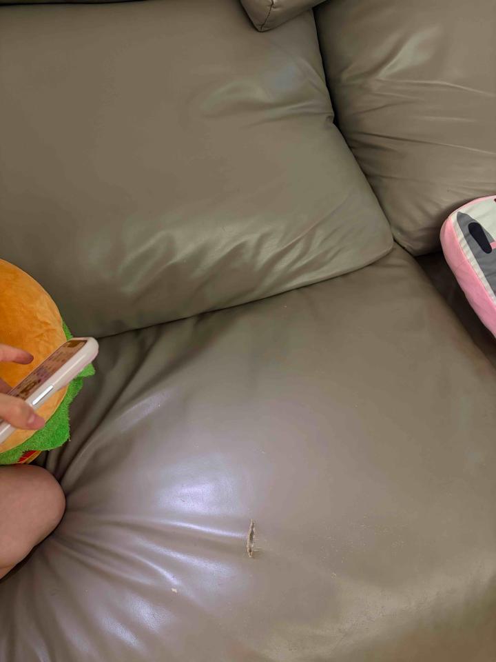 沙發修理案件圖片