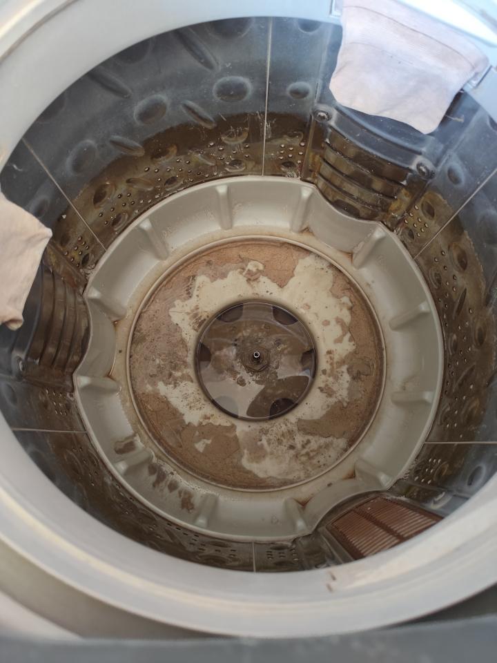 洗衣機清洗案件圖片
