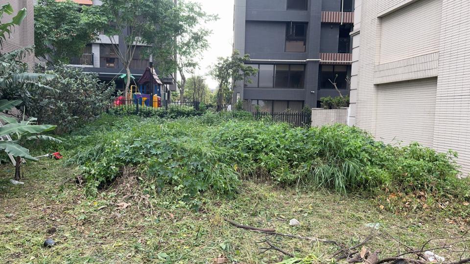 大型垃圾回收案件圖片