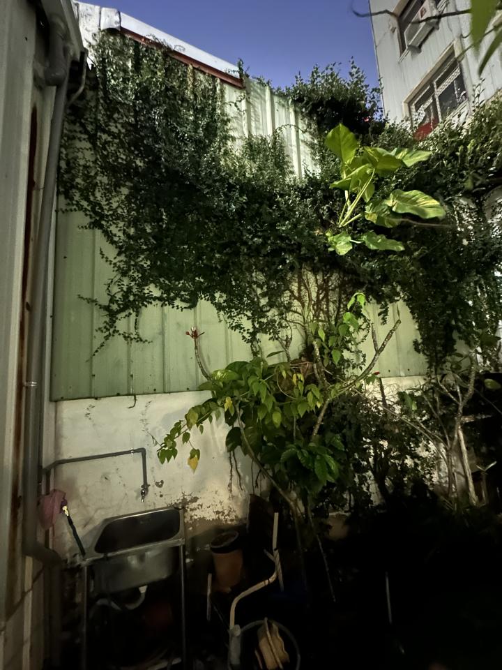 園藝維護案件圖片