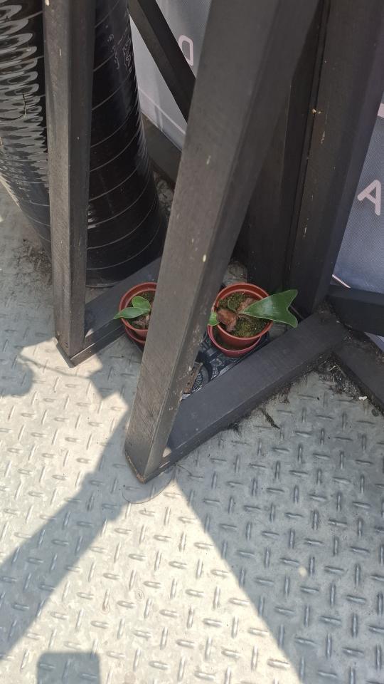 招牌維修案件圖片