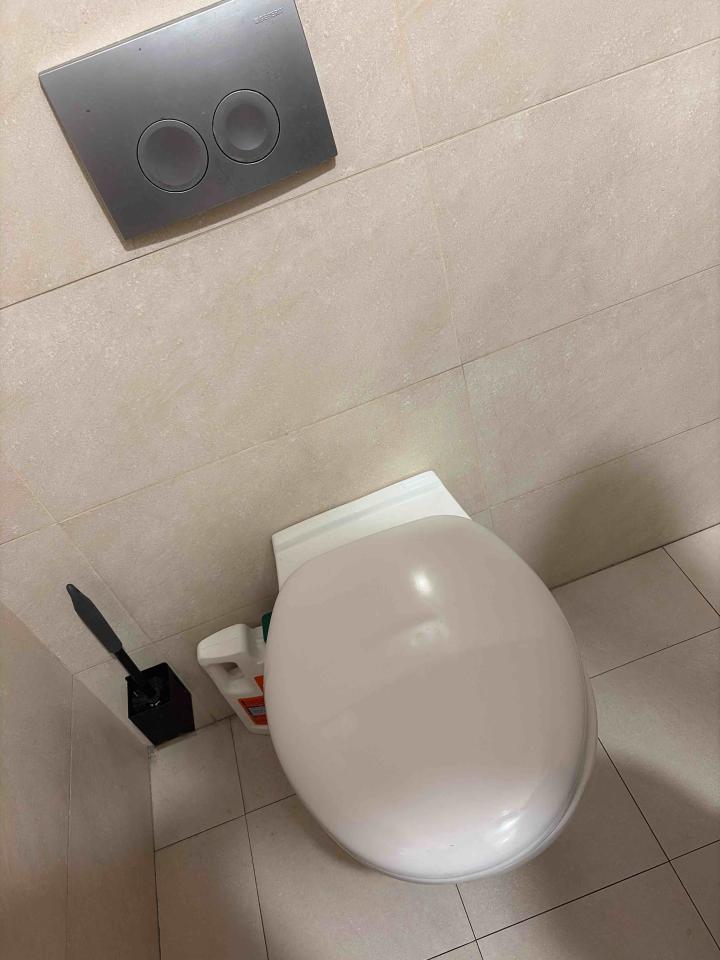 馬桶裝修案件圖片