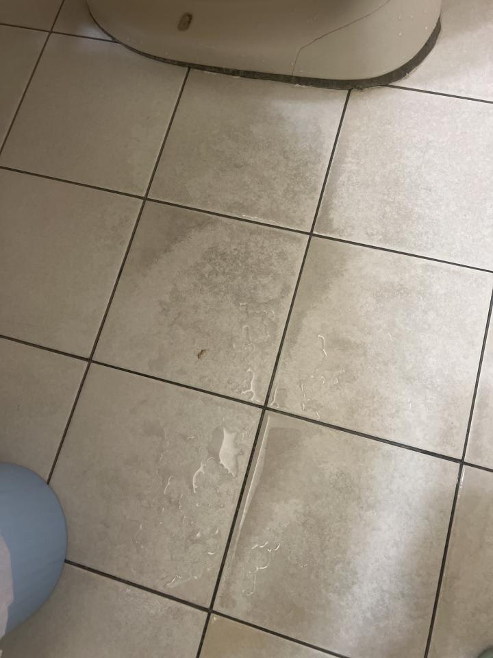 浴室清潔案件圖片