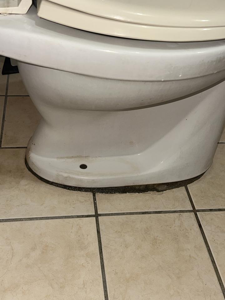 馬桶裝修案件圖片