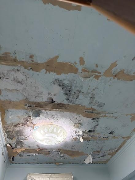 壁癌處理案件圖片