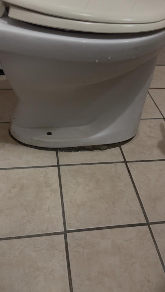 馬桶裝修案件圖片