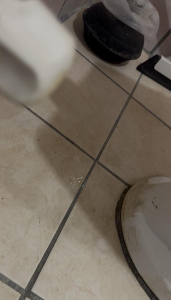 馬桶裝修案件圖片