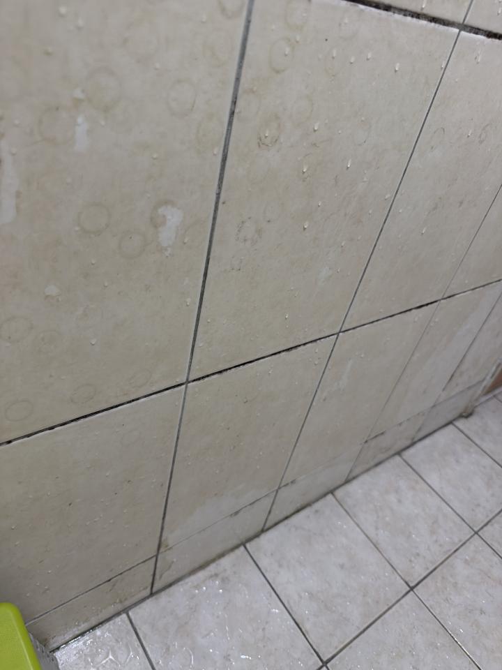 浴室翻新案件圖片