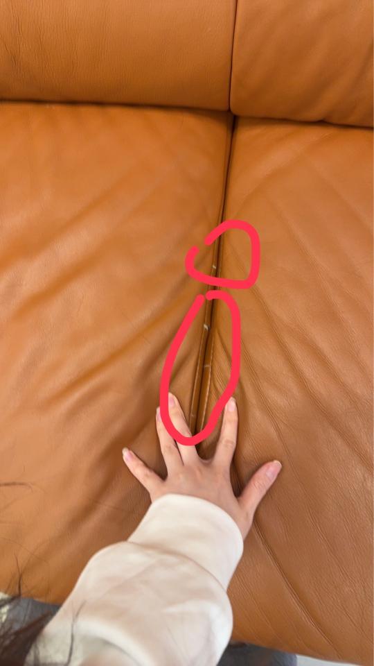 沙發修理案件圖片