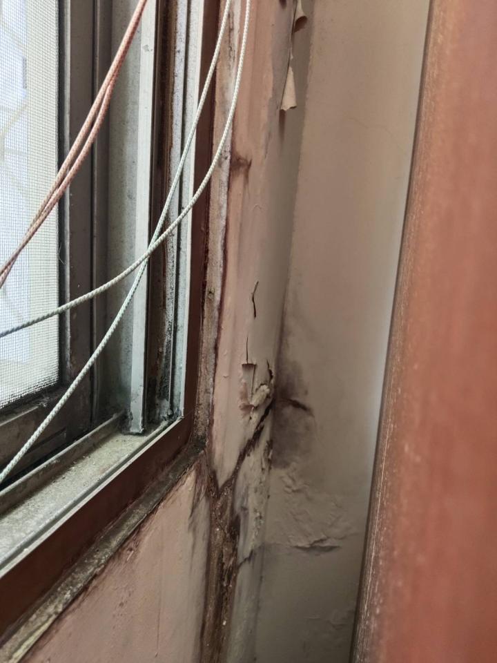 鋼筋外露處理案件圖片