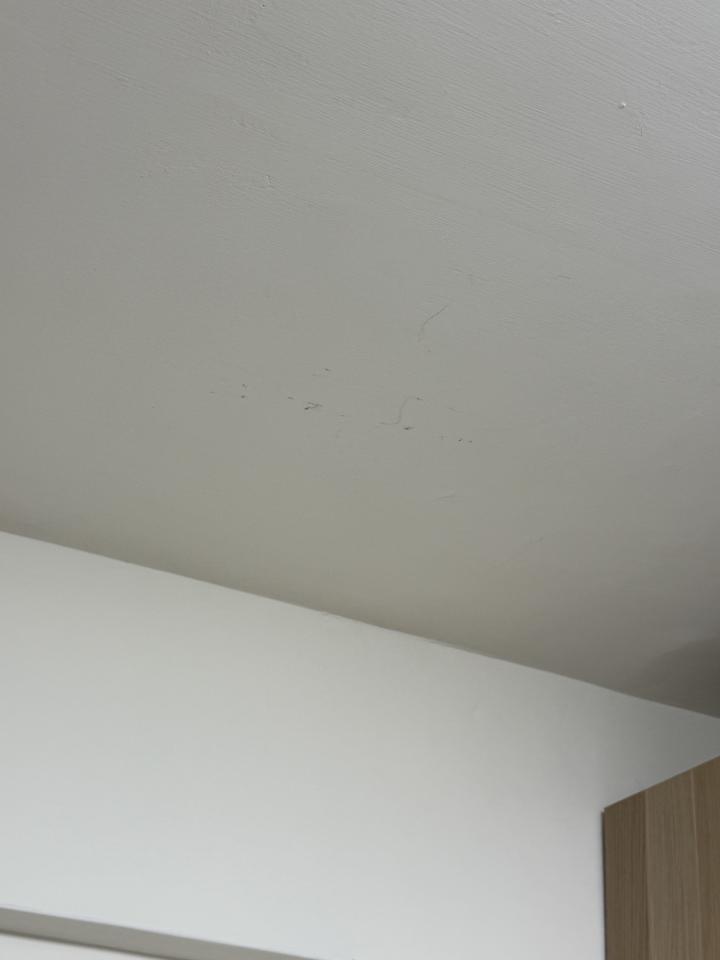 油漆工程案件圖片