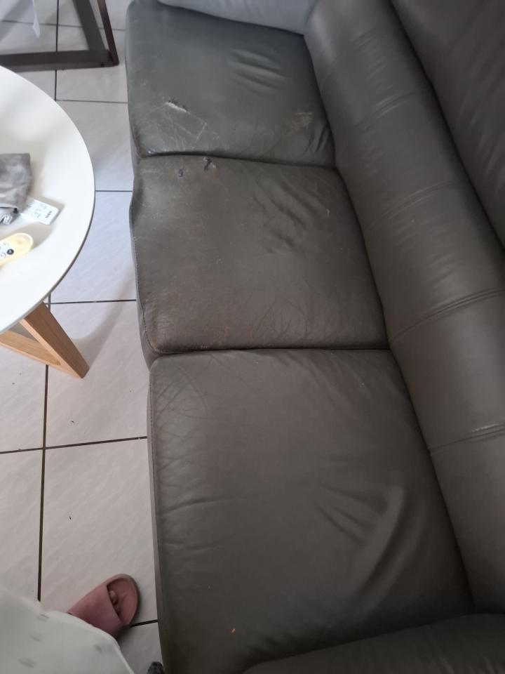 沙發修理案件圖片