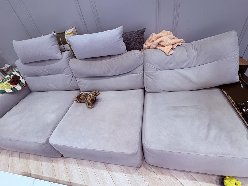 沙發清潔案件圖片